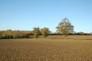 Sunčano, ali hladno