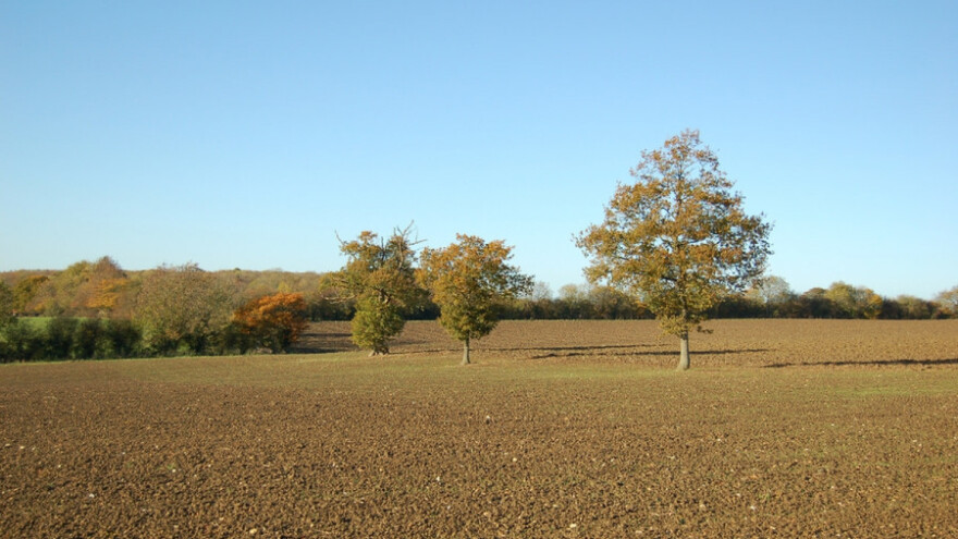 Sunčano, ali hladno