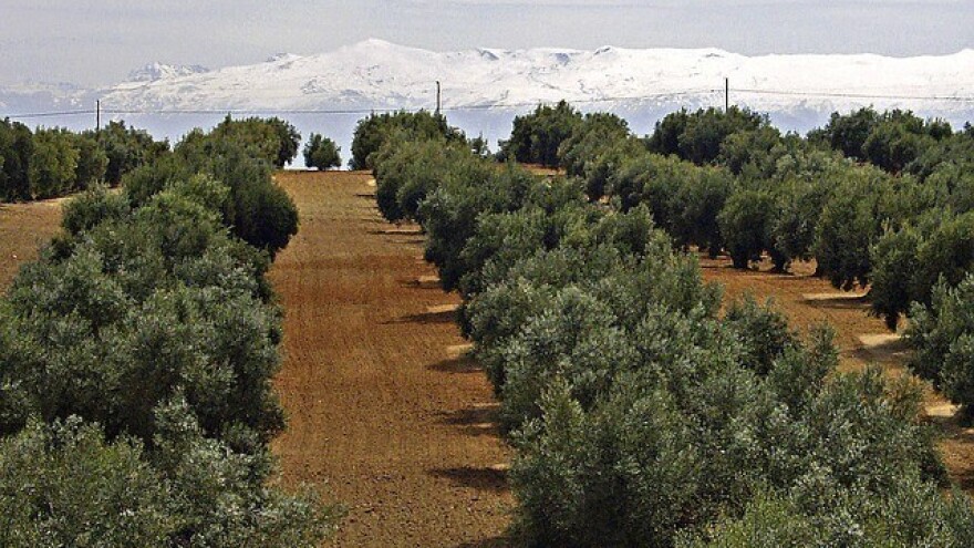 Prvi dio zime bit će topao - u veljači snijeg!