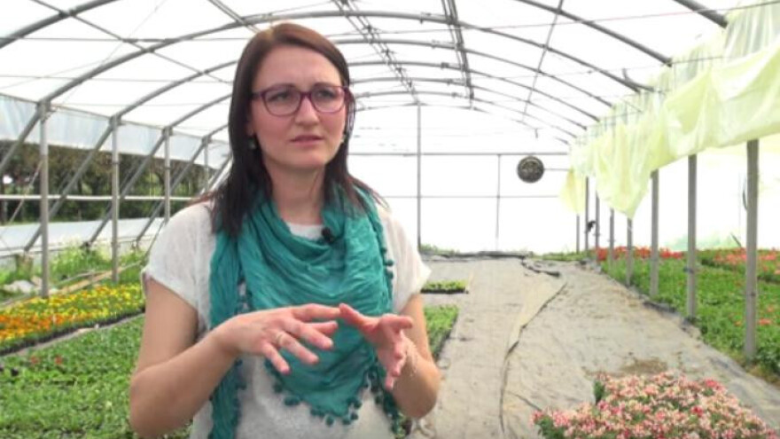 Sigurno vrijeme za sadnju proljetnica