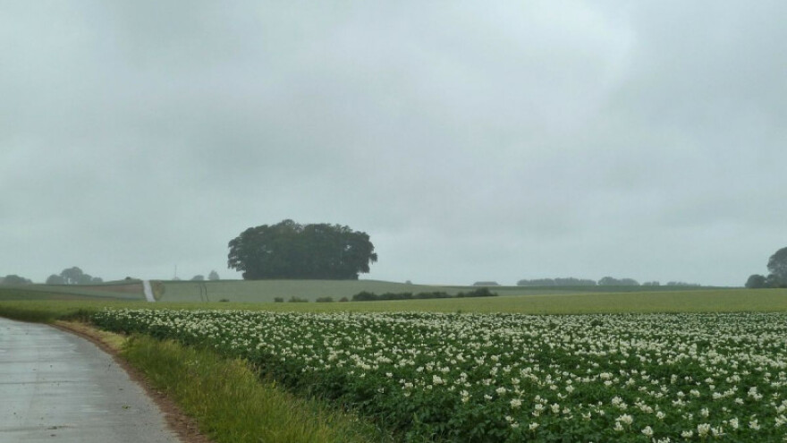 Osjetno toplije i kišno!