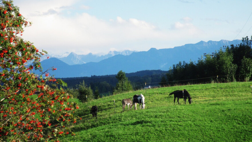 Južina se nastavlja, temperature do 16 stupnjeva