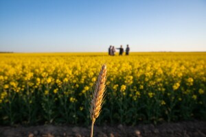 Vremenske nepogode im ne mogu naštetiti!
