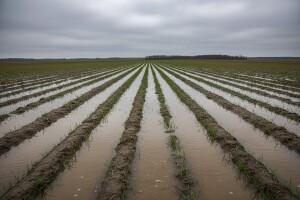 Vremenski uslovi nisu naklonjeni prolećnoj setvi