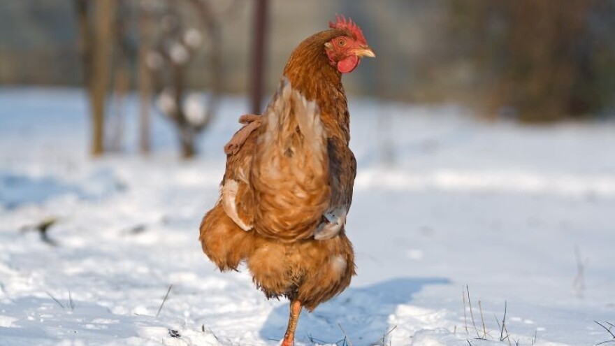 Izgledi za Hrvatsku za 09.01.2015-11.01.2015