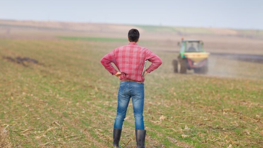 Kiša pada - cijene rastu?!