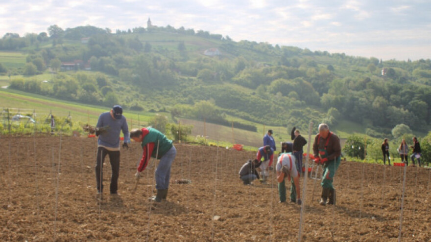 Izbjegavajte radove u najtoplijem dijelu dana