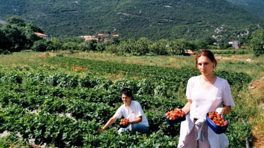 Agroekologija - nova strategija rada na zemlji!