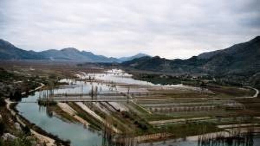 Kvalitetni lozni cjepovi iz Vrgoračko-neretvanskog polja