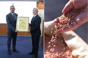 Nove potpore za certificirano sjeme - saznajte više u Opatiji!