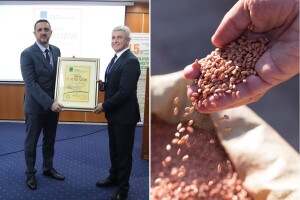 Nove potpore za certificirano sjeme - saznajte više u Opatiji!