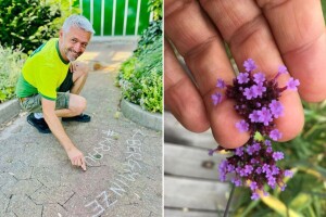 Postoji cvijeće koje je pčelama potpuno beskorisno - šta onda saditi u vrtovima?