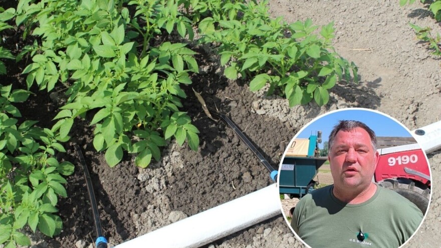 Rekordni prinosi, manje rizika: Tomislav Drožđek imao najstabilniju sezonu do sada