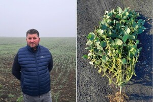 Damir Marošević: Usred suše do izražaja su došla ulaganja u usjeve