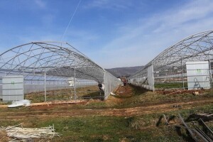 Pet stvari koje morate znati pre kupovine plastenika!