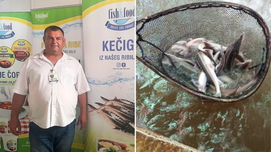 Jedini na Balkanu - oprema za uzgoj veoma traženih kečiga Branislava Kalmara iz Bečeja