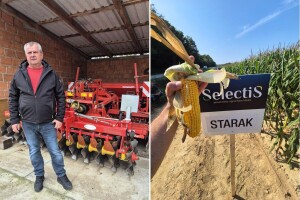 Sezona otkrila hibride kukuruza koji su po Hrvatskoj dali preko 15 t/ha