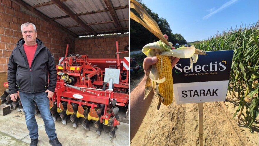 Sezona otkrila hibride kukuruza koji su po Hrvatskoj dali preko 15 t/ha