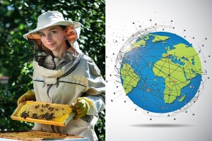 Med i pčele - vekovna veza između čoveka i prirode