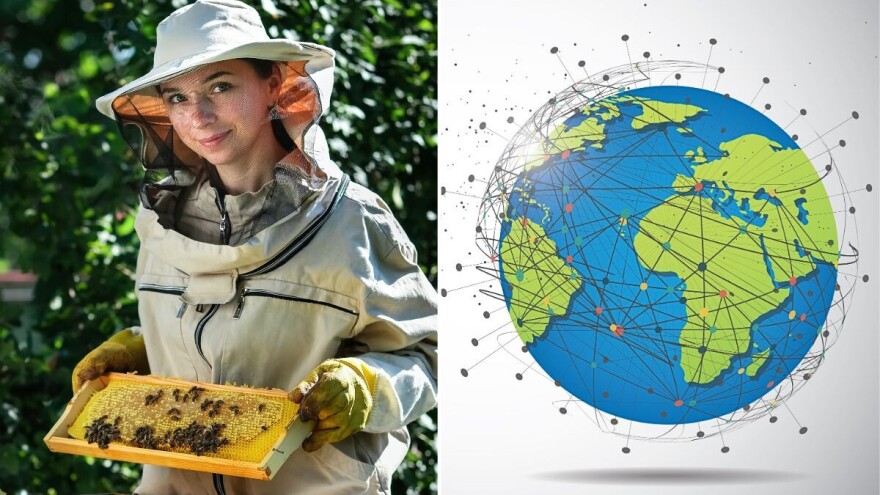 Med i pčele - vekovna veza između čoveka i prirode