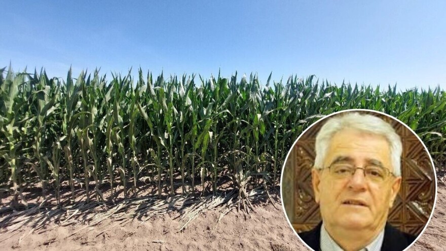 Stiže toplinski val, a za vikend slijedi blagi pad temperature