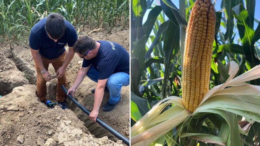 Isplati li se navodnjavanje? Donosimo okvirne kalkulacije po hektaru