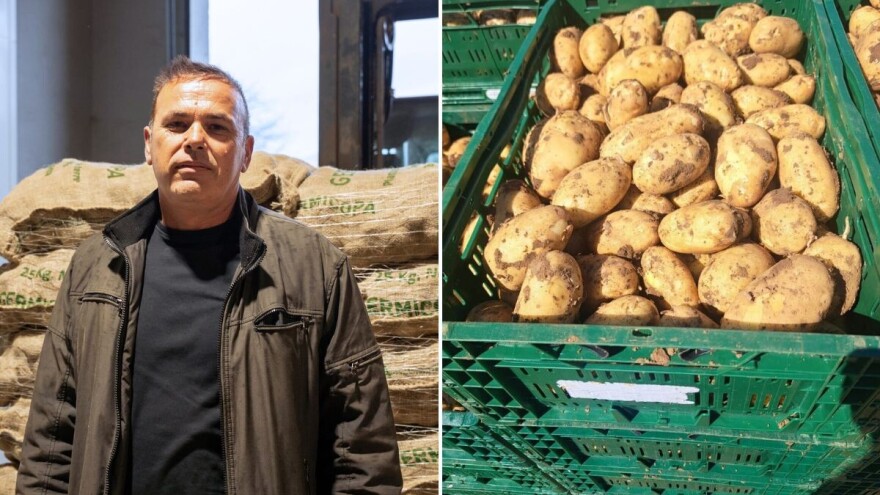 Marijo Batur planira unaprijed i vadi mladi krumpir dvaput u godini