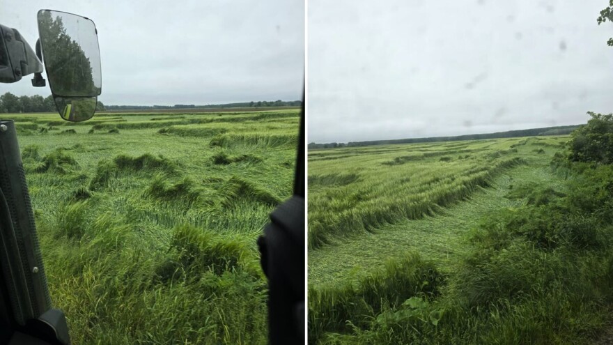 Osim tuče, i jak vjetar u Slavoniji nanio štetu poljoprivrednicima