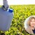 Registracija pesticida i gnojiva: Gdje proizvođači najčešće griješe?