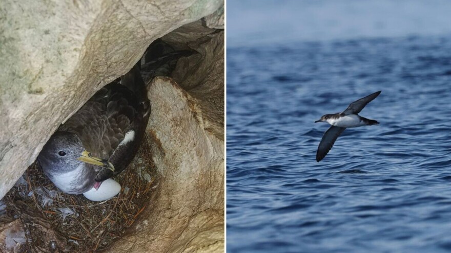 Hrvatska proširila ekološku mrežu Natura 2000 i na morsko područje