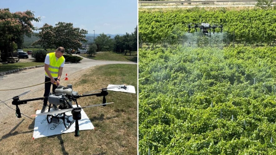 Kvarneru je nužna prilagodba modernom i preciznom vinogradarstvu