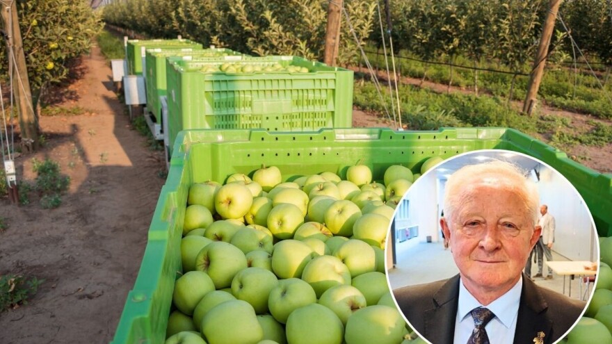 Zašto opada proizvodnja voća u Srbiji?