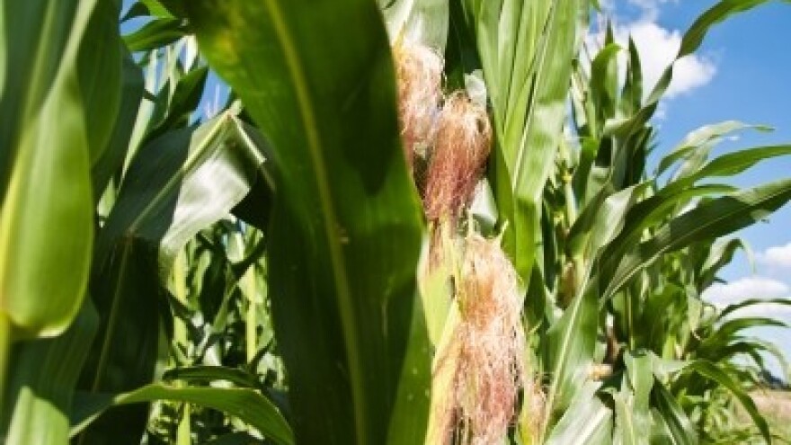 Izgledi za Hrvatsku za 23.05.2014-25.05.2014