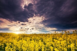 Vikend donosi kišu i snijeg na planinama