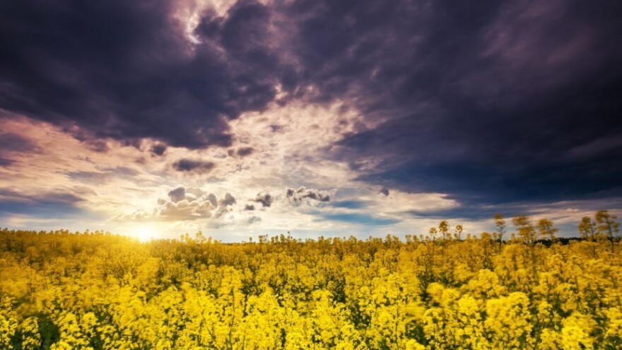 Vikend donosi kišu i snijeg na planinama