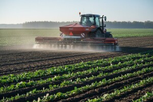 Vrijeme je za prihranu usjeva uljane repice!