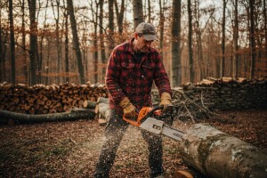 Vrijeme je za sječu ogrjevnog drveta!