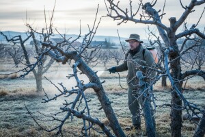 Vrijeme je za zimsko prskanje bakrom!