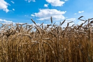 Izgledi za Hrvatsku za 06.06.2014-08.06.2014