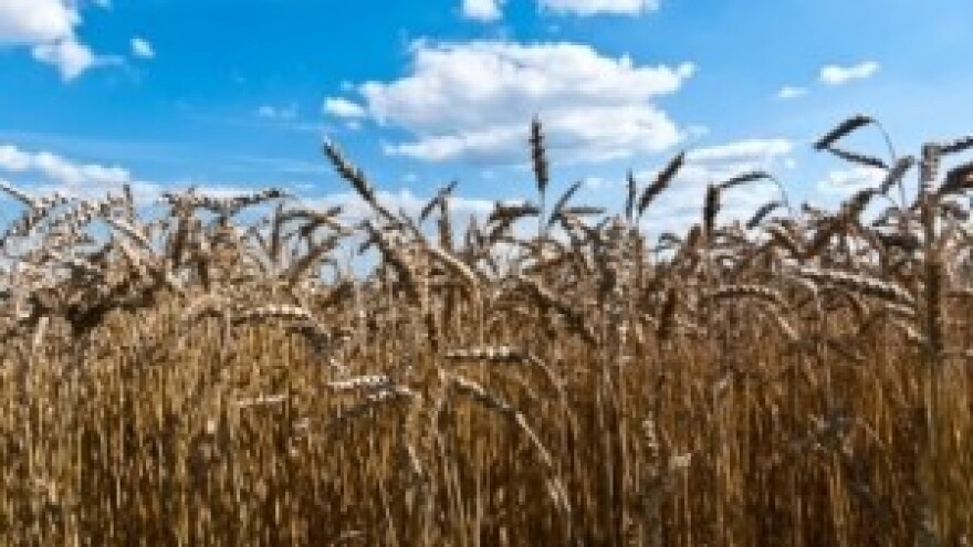 Izgledi za Hrvatsku za 06.06.2014-08.06.2014