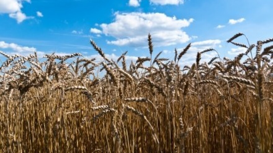 Izgledi za Hrvatsku za 31.10.2014-02.11.2014