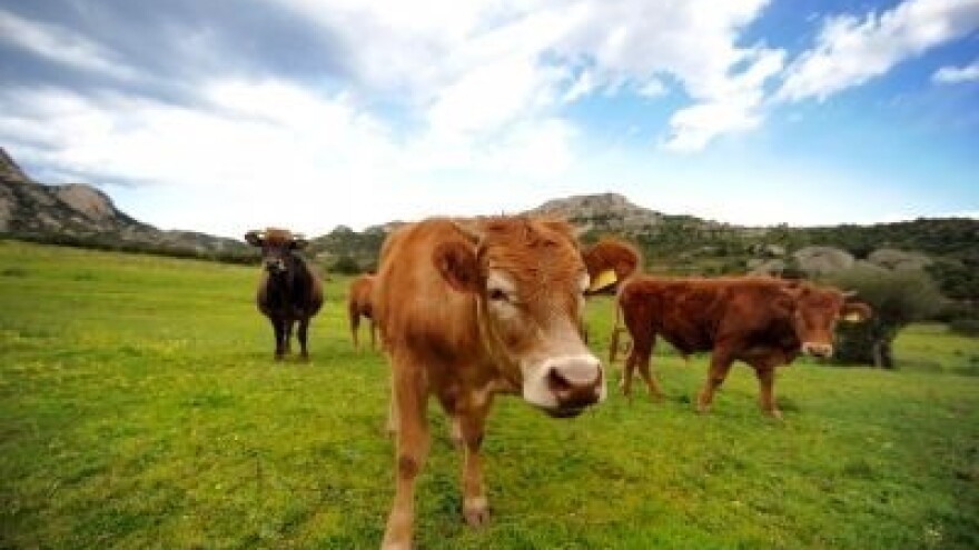 Izgledi za Hrvatsku za 28.11.2014-30.11.2014