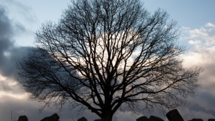 Izgledi za Hrvatsku za 20.12.2014-22.12.2014