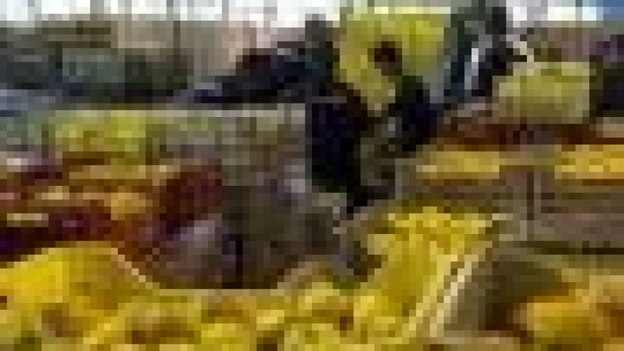 Dug za mandarine: izigrani poljoprivrednici dobit će državne poticaje