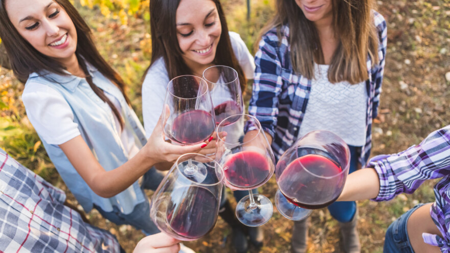 Vinofest - 30. juna i 1. jula u Vršcu