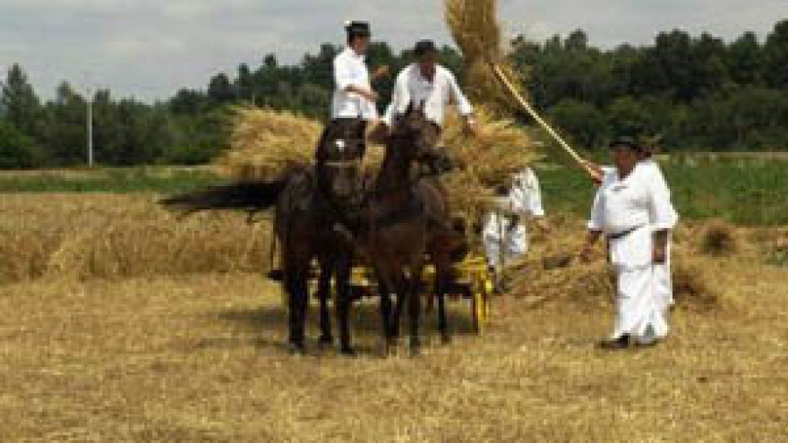 Veliki Godinj: oživjelo selo i običaji