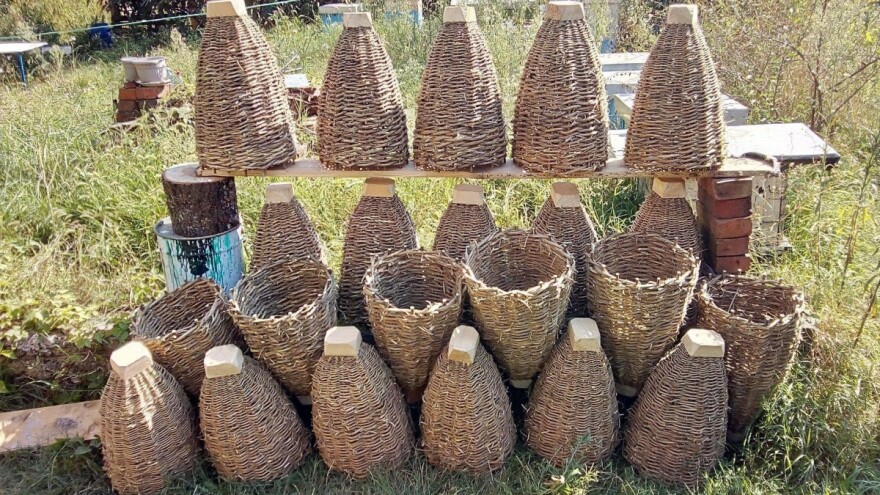 Vrškare - stare košnice u kojima su pčele zdravije i daju kvalitetniji med