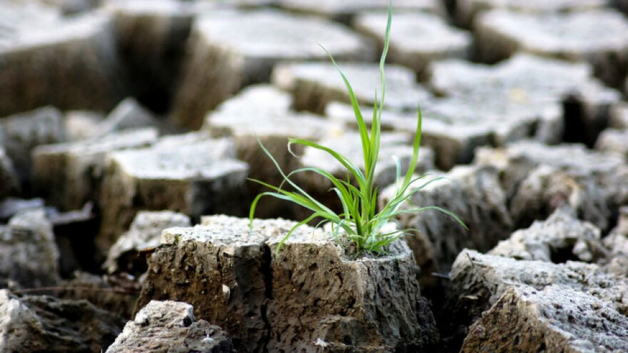 Sami ustanovite vrstu tla i popravite ga!