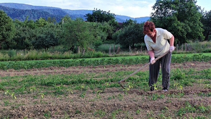 Hortikulturalna terapija: Vrt je lijek, a ne hir