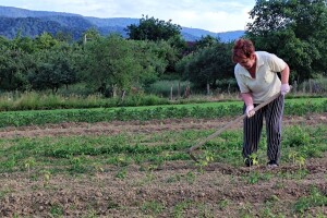 Hortikulturalna terapija: Vrt je lijek, a ne hir